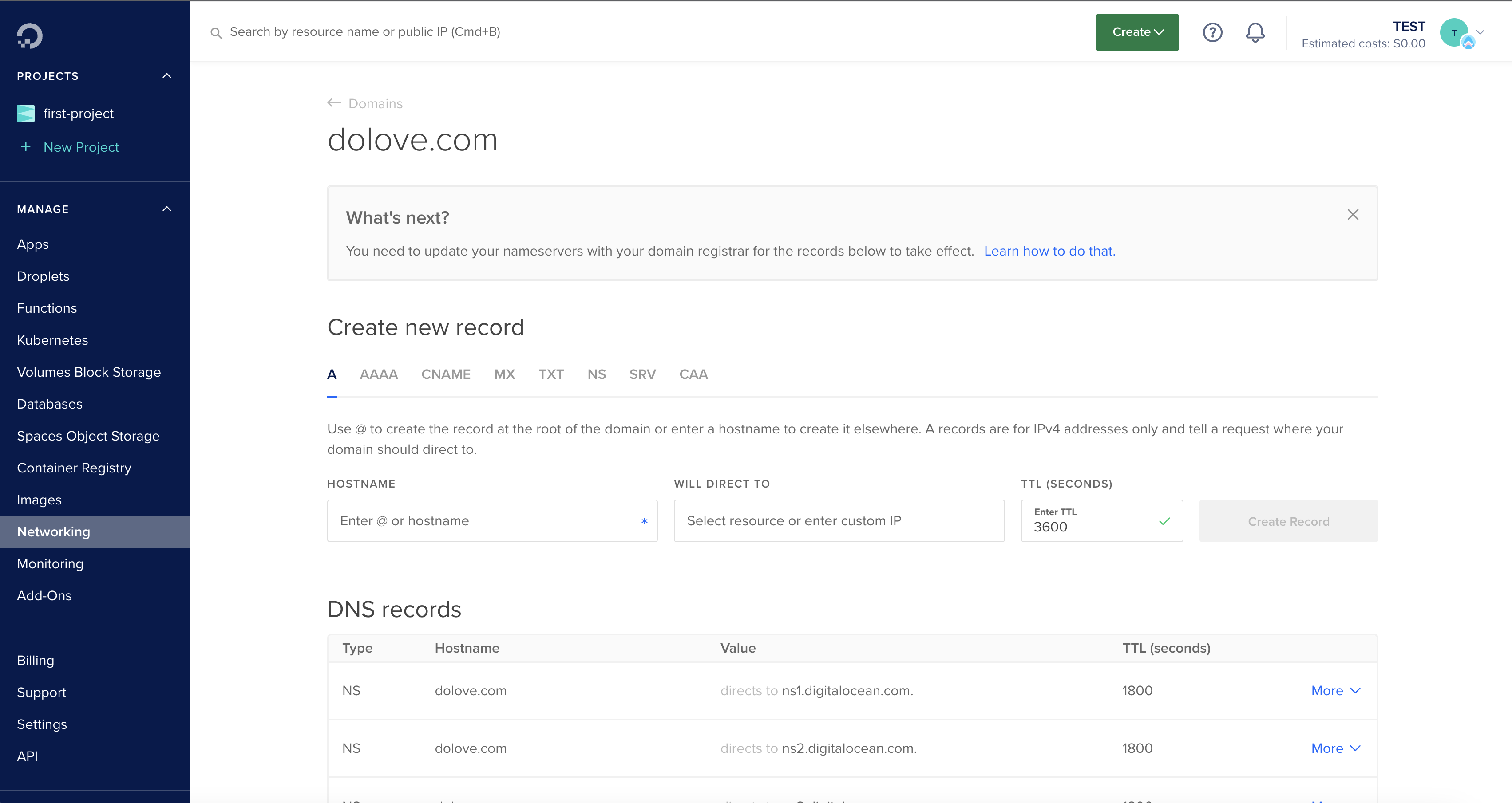 A domain's detail page, with the Create new record form above its list of DNS records.